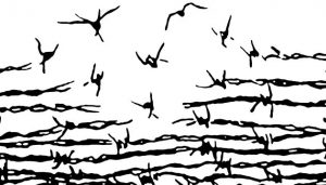 freedom-fence